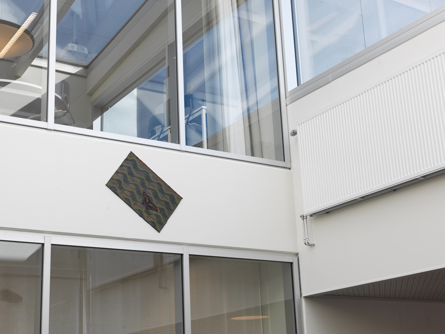 no picture available as yet